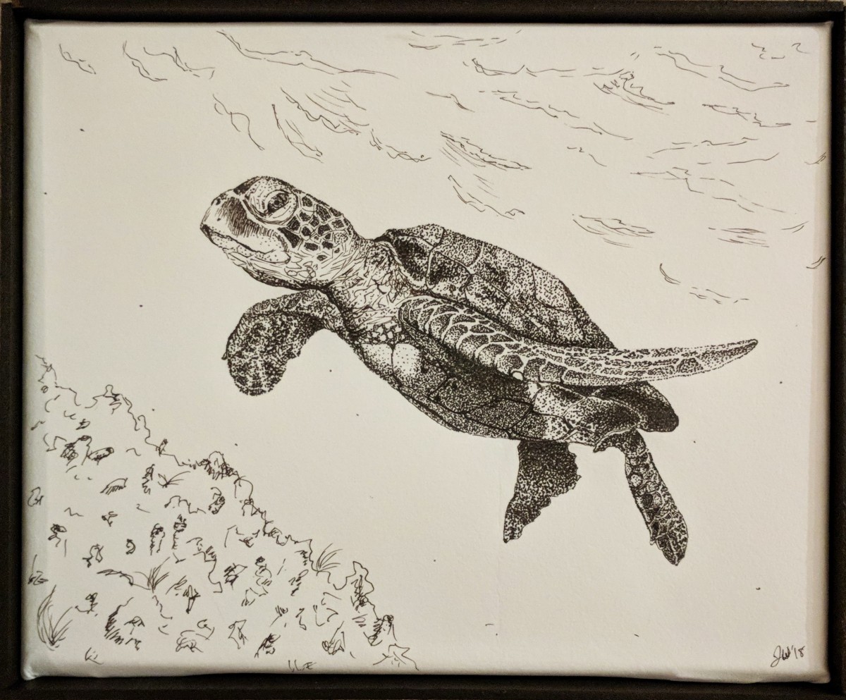 Sea Turtle 2018